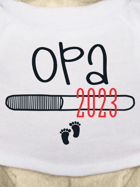 Opa 2023 - OPA