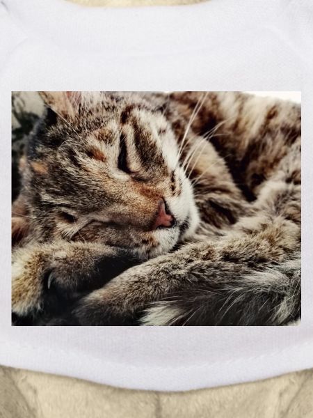Cozy