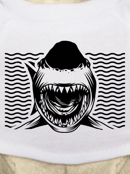 Requin requin - Shark