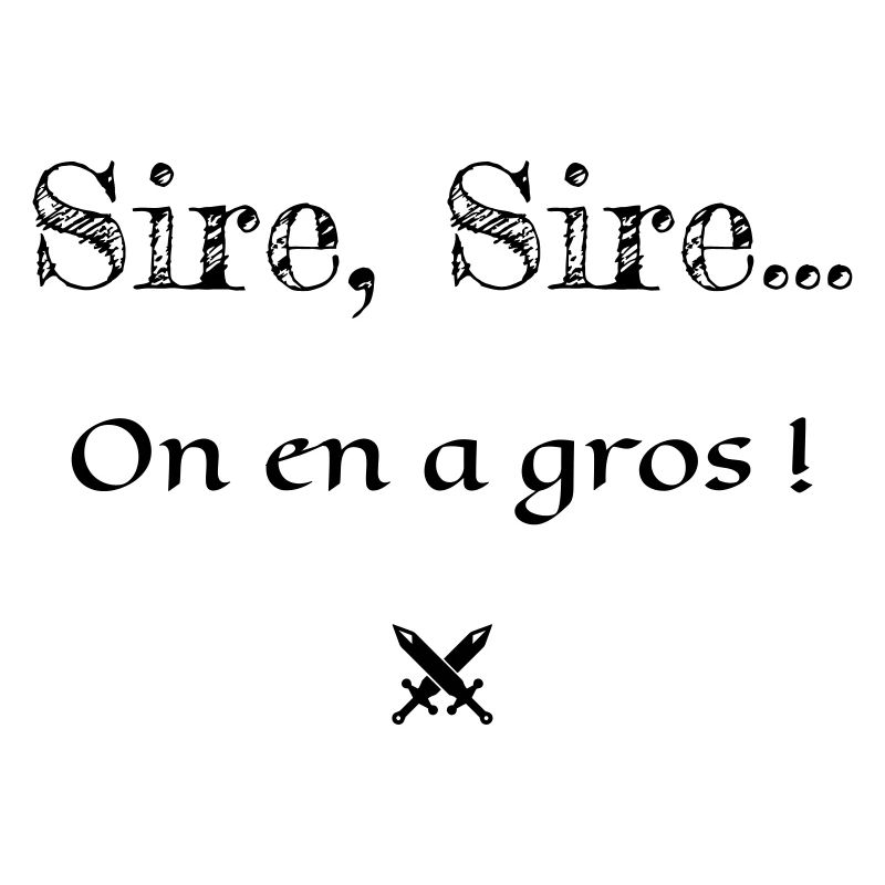 On en a gros ! Kaameløtt - Citation Perceval