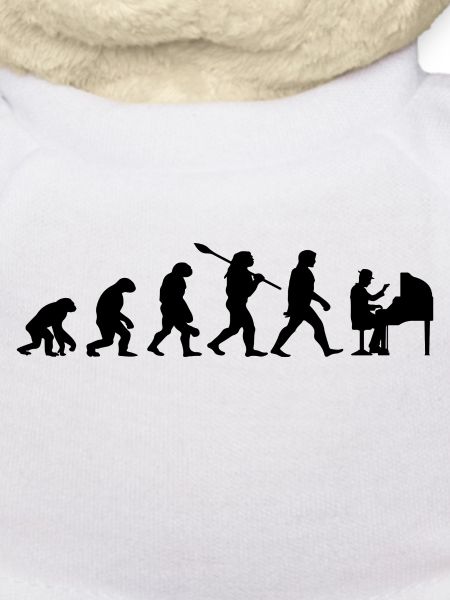 Evolution Piano Pianist Piano