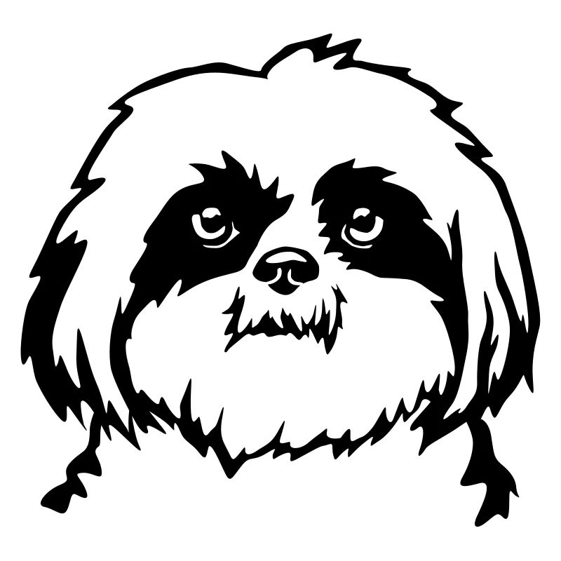 Shih Tzu Kopf
