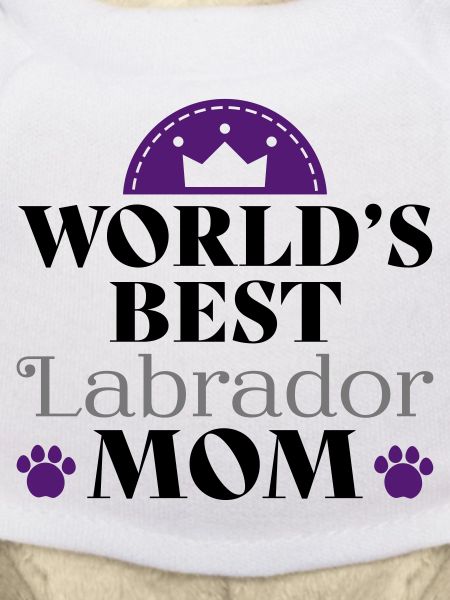 Labrador