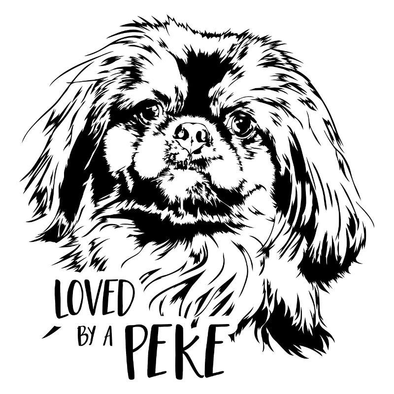 Aimé par un chien pékinois de Pékin Dicton