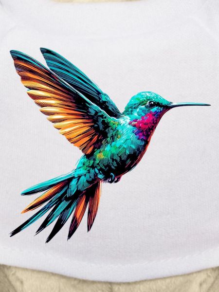 Kolibri
