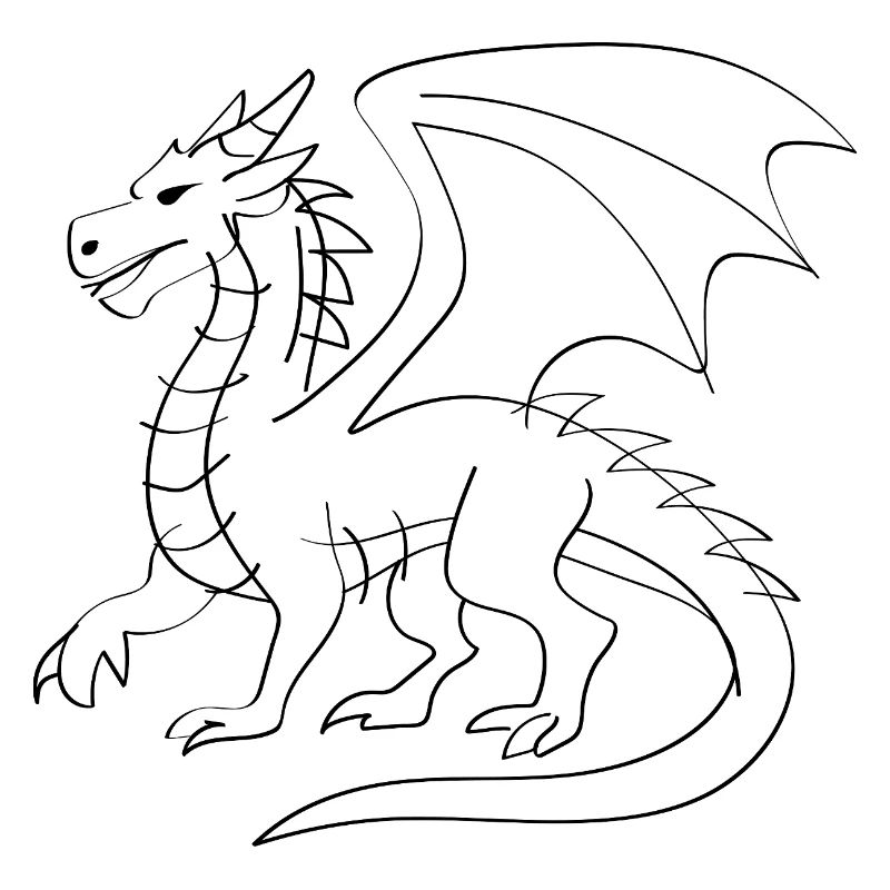 Drachen Illustration