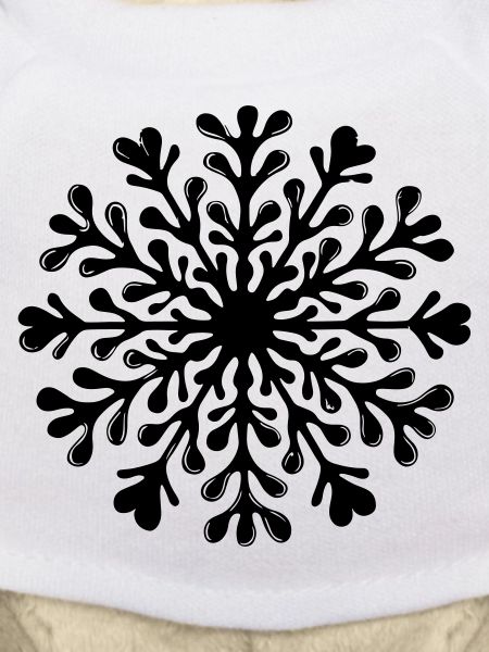 Snowflake Winter Icon
