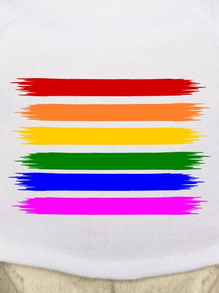 rainbow flag