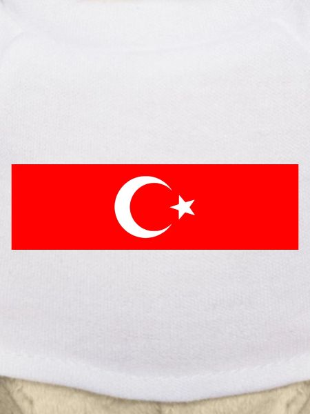 Turkey - Turkish flag
