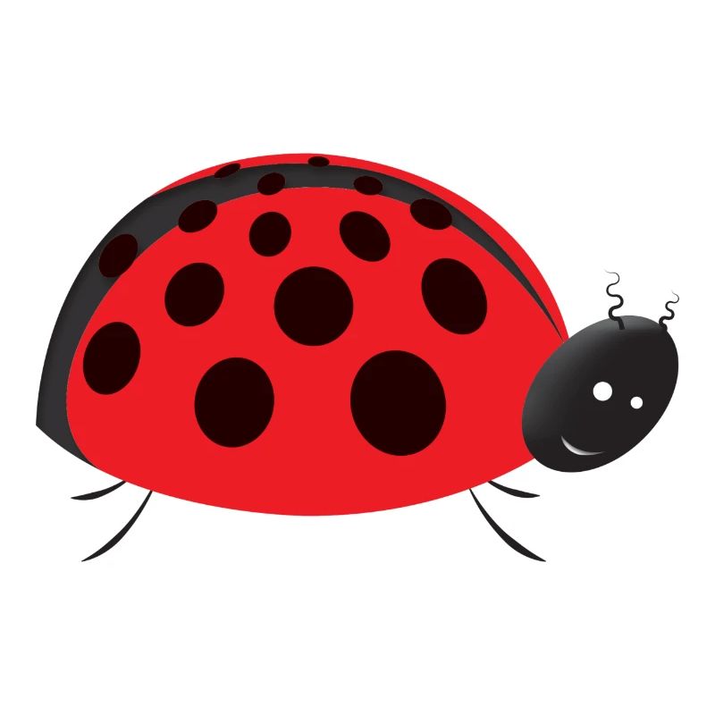 Marienkäfer