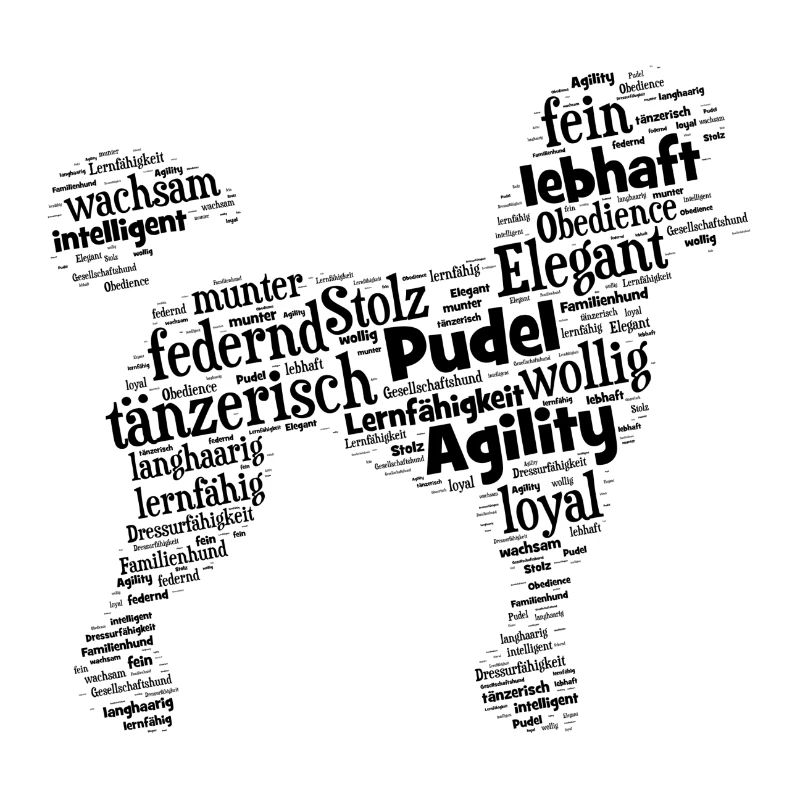 Pudel Charaktershirt Wordcloud