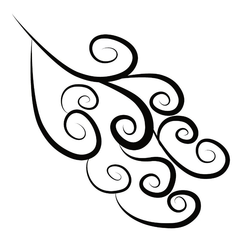 Pattern Spirals Black