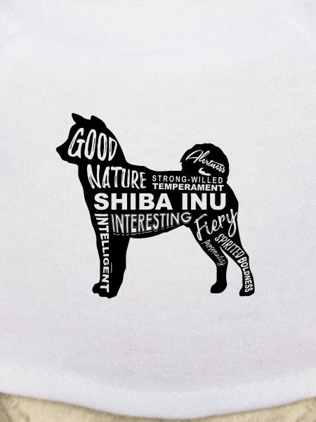 Shiba Inu