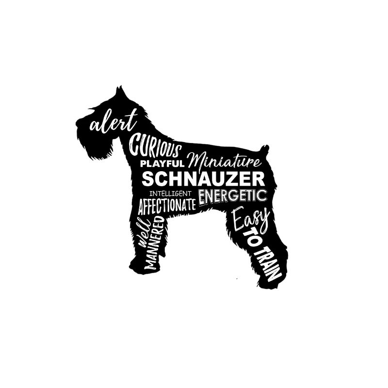 schnauzer