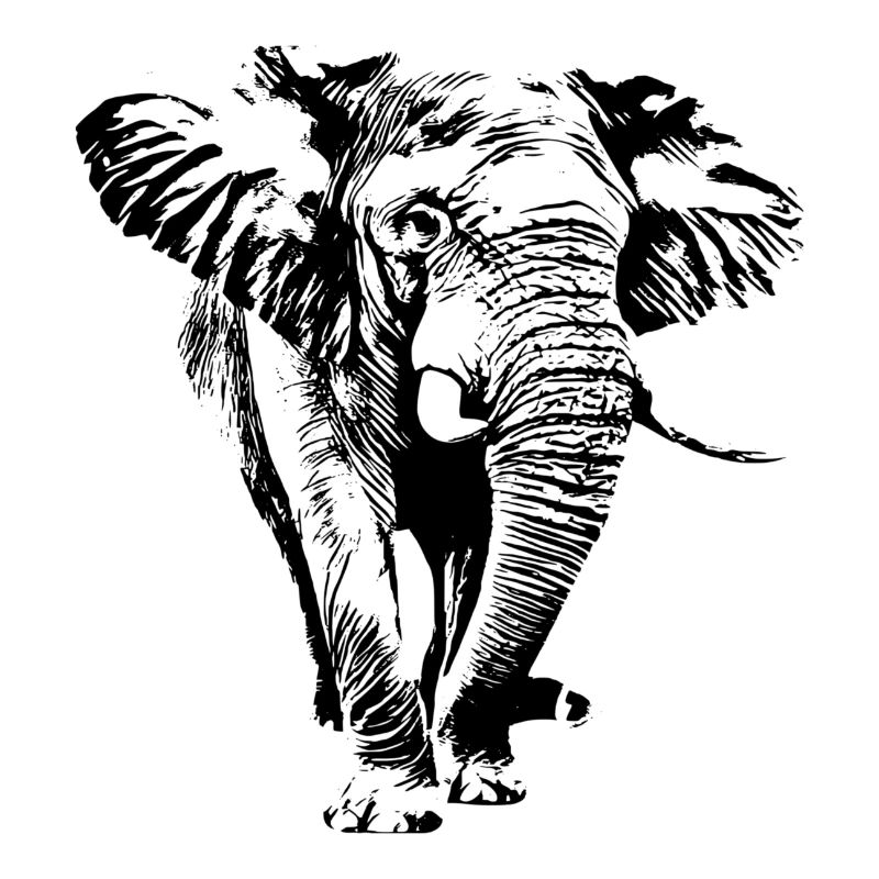 Éléphant