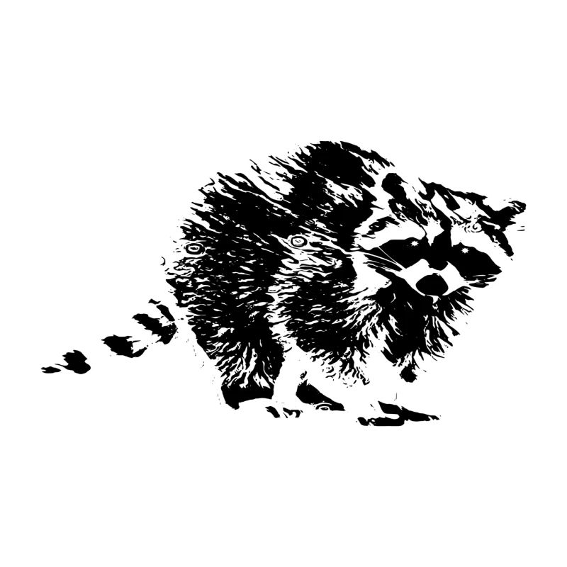 Waschbär