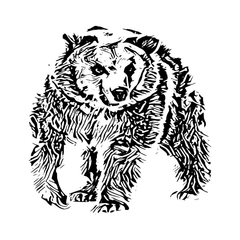 Bär