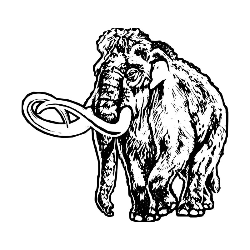 Mammut