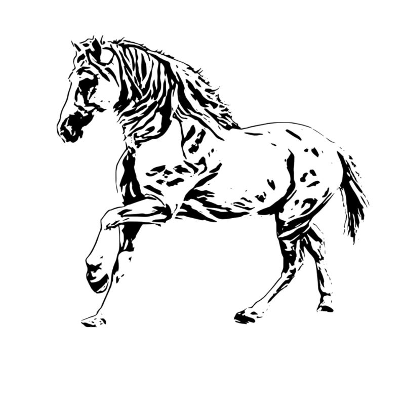 Pferd