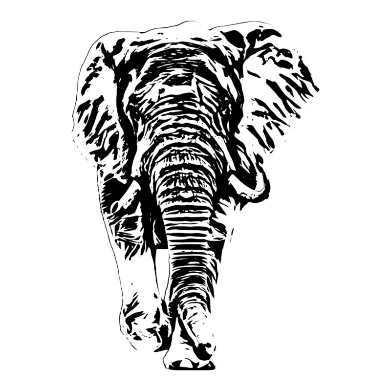 Elefant