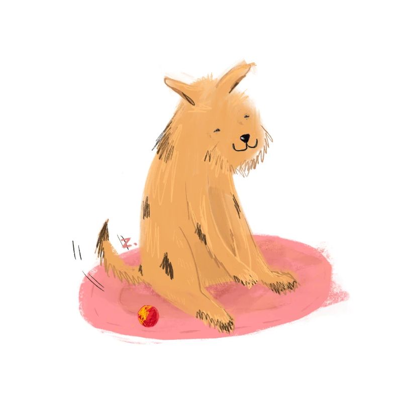 Doggo & Ball
