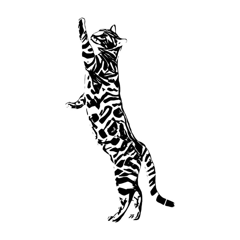 Katze