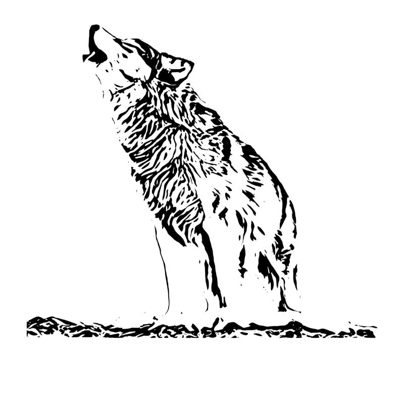 wolf