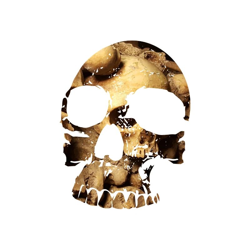 Skull Skulls 2