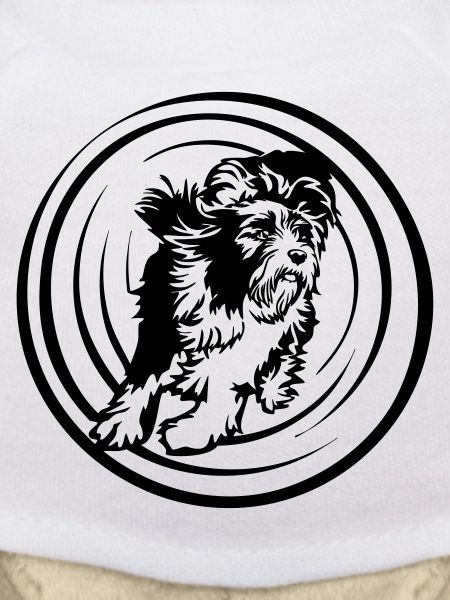 Bearded Collie