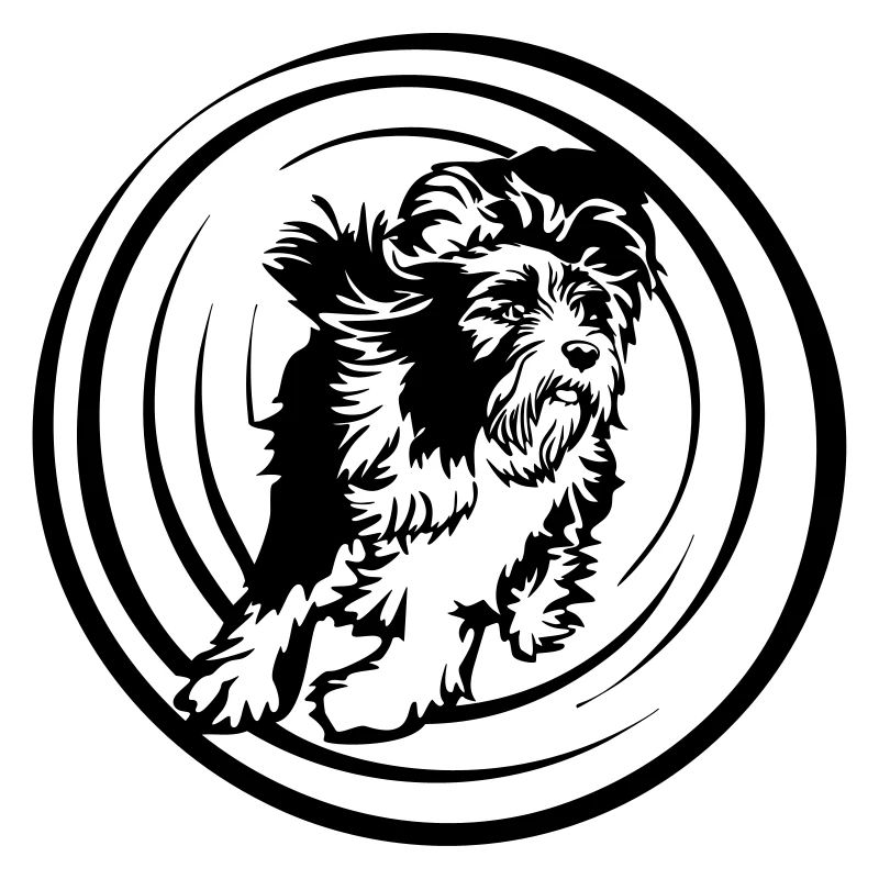 Bearded Collie