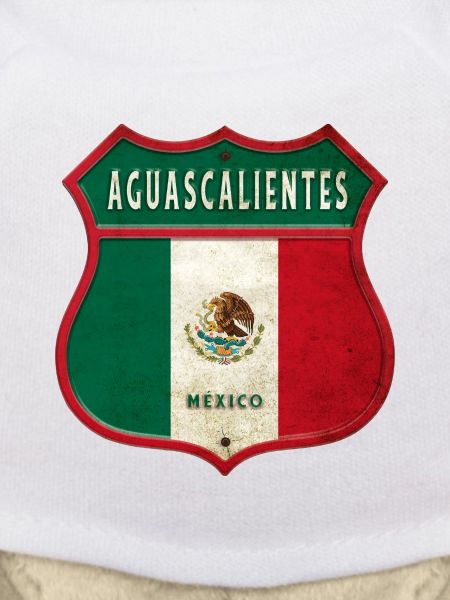 Aguascalientes Mexiko Wappen Design