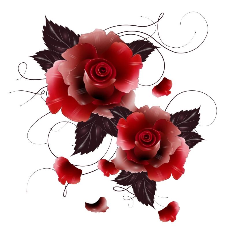 two beautiful fascinating red roses