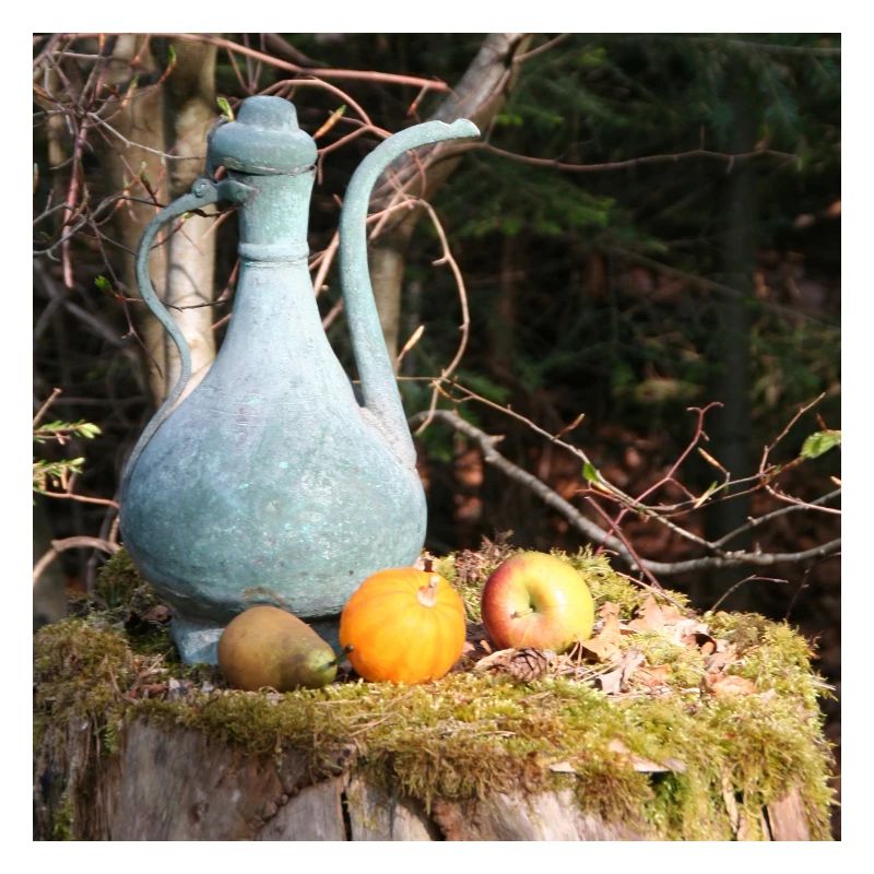 Kupferkännchen im Schwarzwald