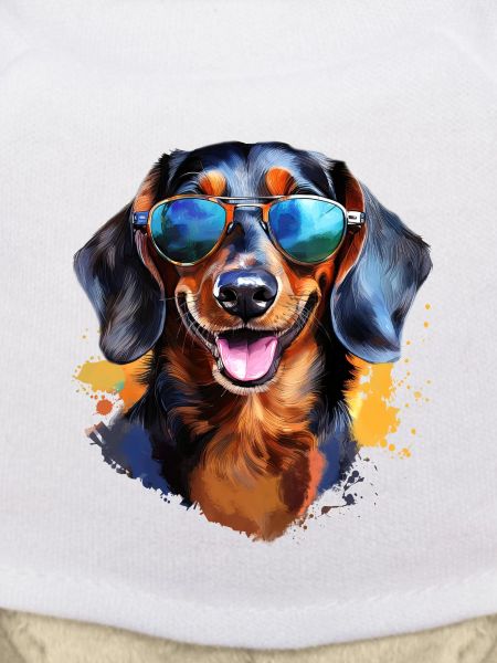 Dachshund with sunglasses