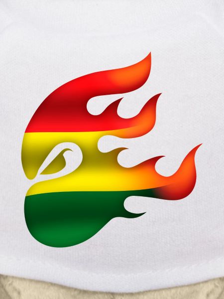 Bolivia Flag - Bolivia - Ninja