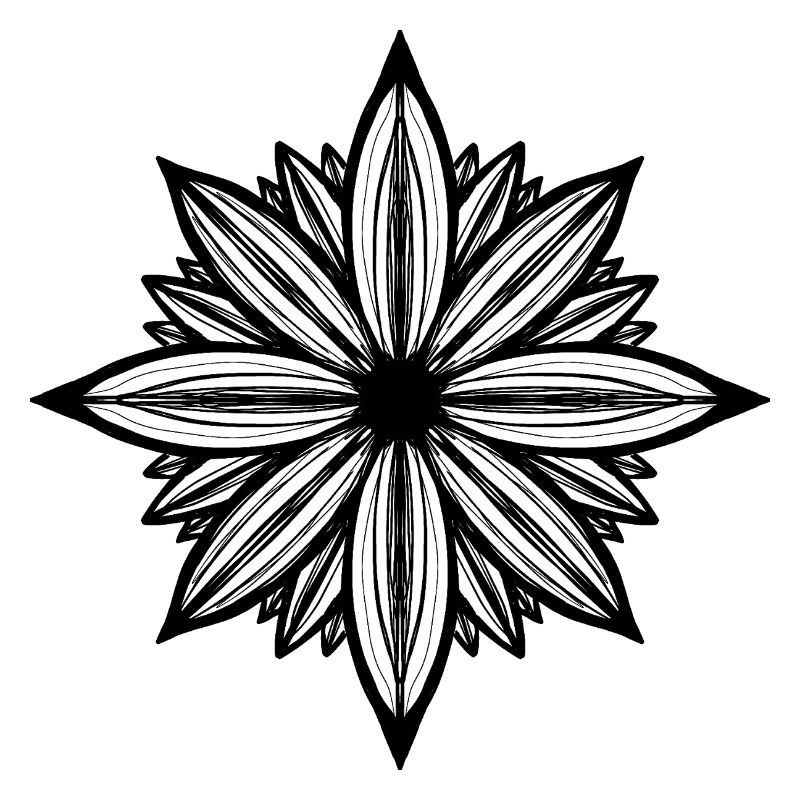 Daisy flower