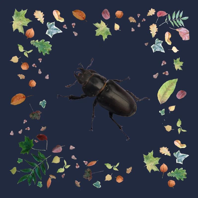 Hirschkäfer mit Herbstlaub