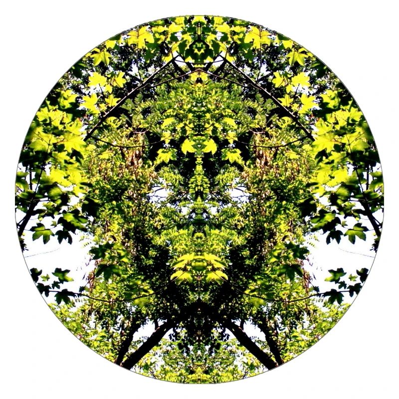 Tree Nature Creature