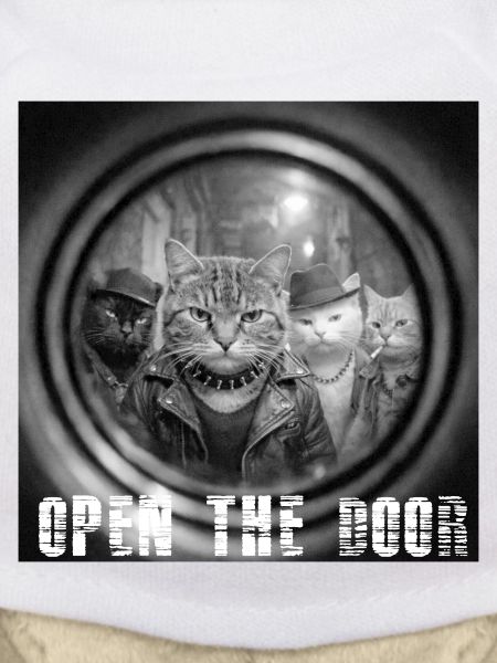 Door On Cats Noir