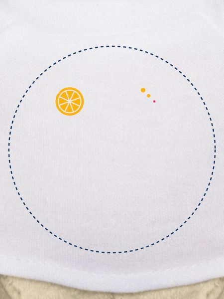 Citrus Orbit Print