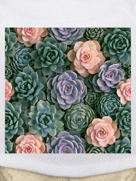 Pastellrosa und Sukkulenten