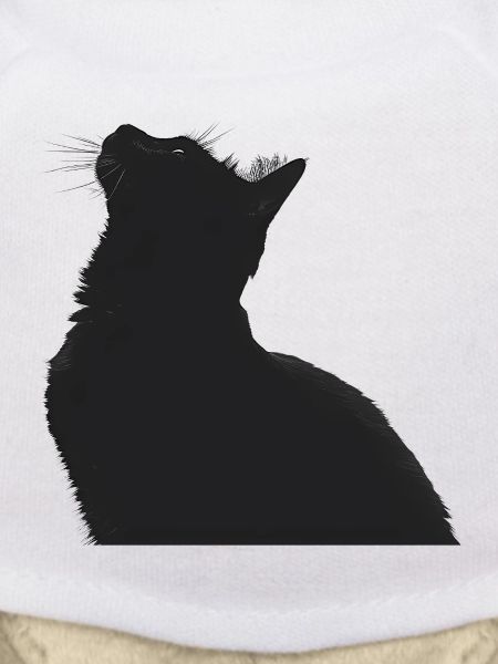 Nachtkatzen Silhouette