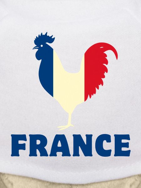 Frankreich Flagge