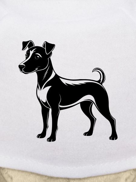 Süßer Jack Russell
