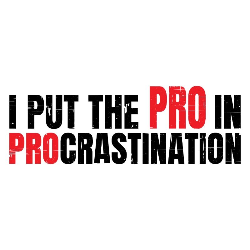 Je mets le pro dans la procrastination 7