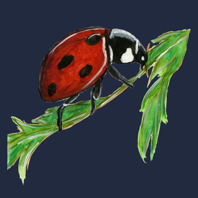 Marienkäfer