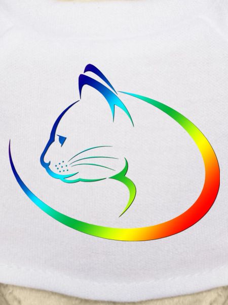 Katze