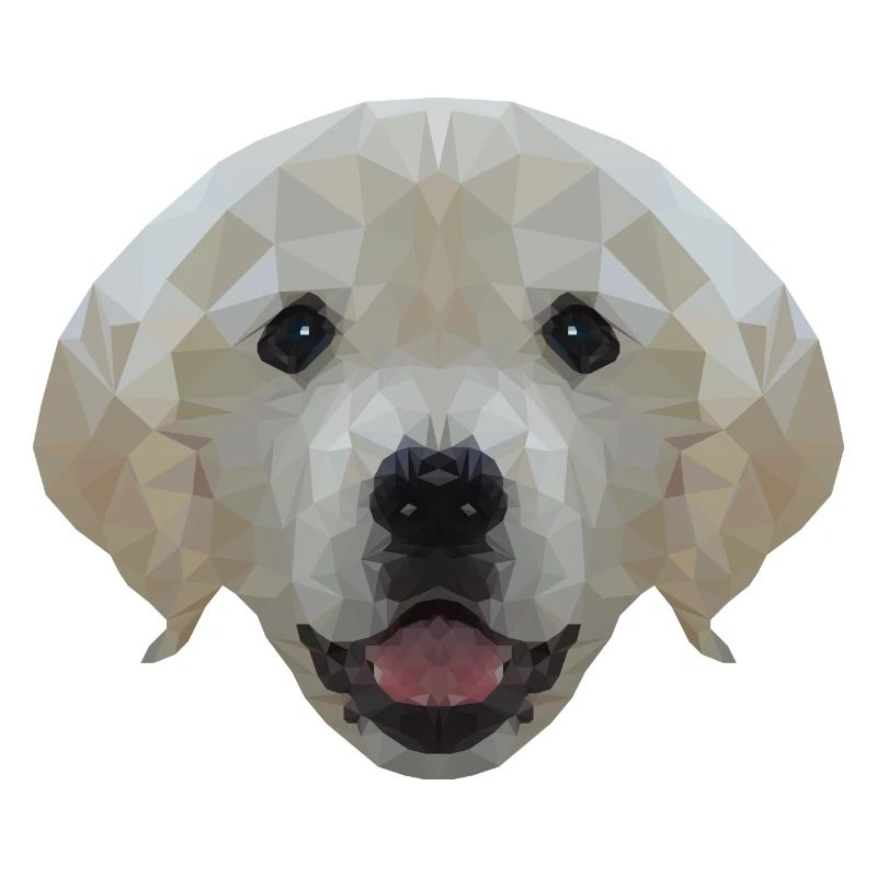 Dog Labrador Polygon