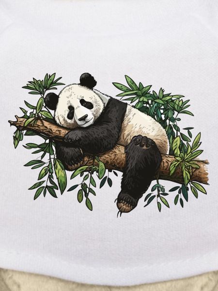 The Bamboo Panda