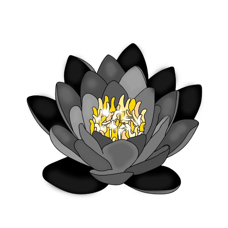 Seerose Rosendesign